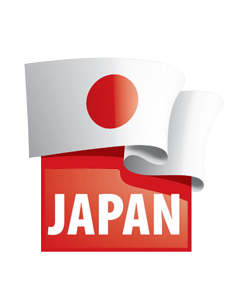 日本入境卡示意图